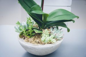 eco friendly home decor